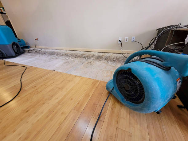 Professional Water Extraction technician working in Middle Village, NY